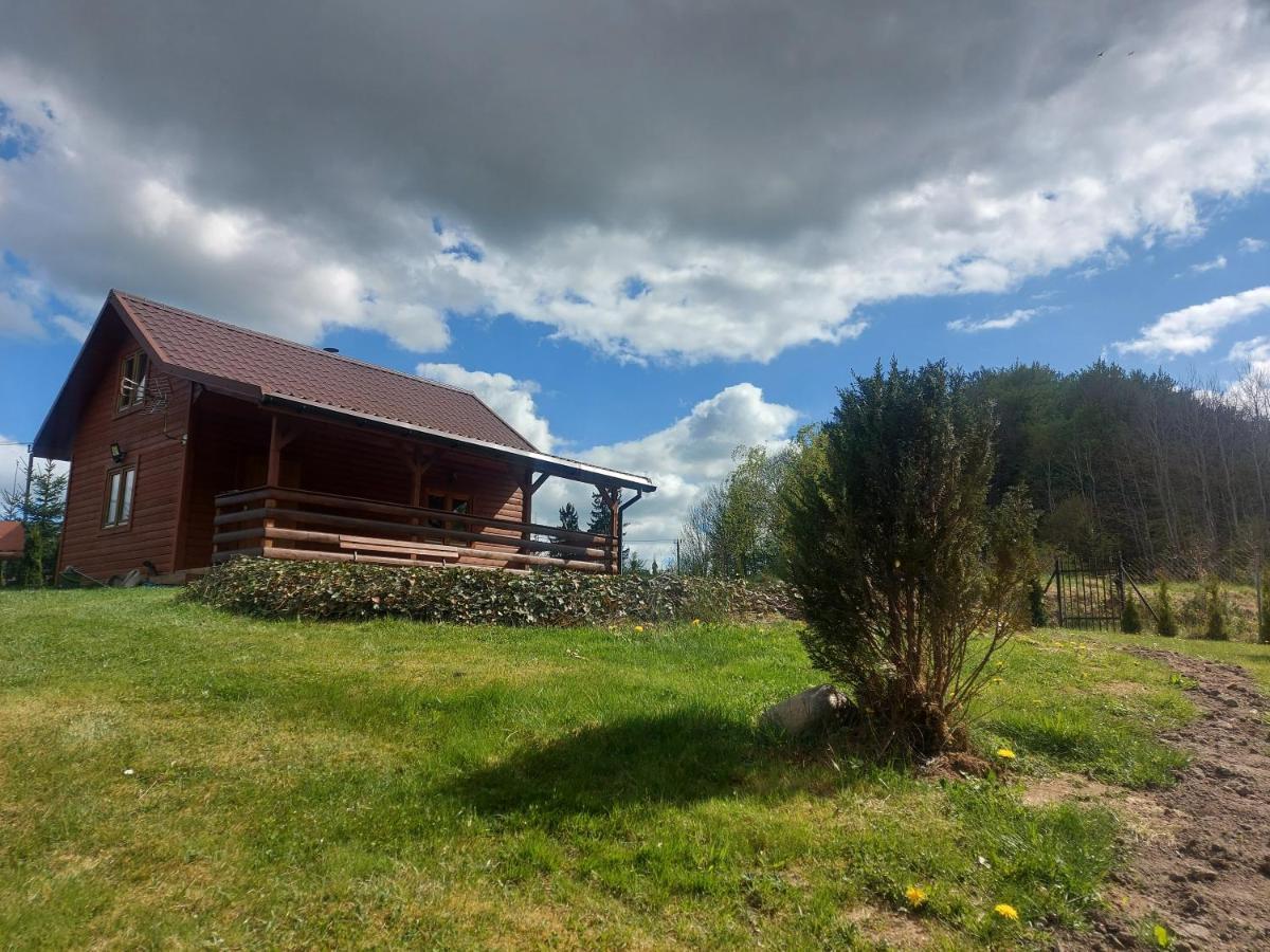 Drewniany Domek Zurawi Trakt Zabrsko Dolne Exterior foto