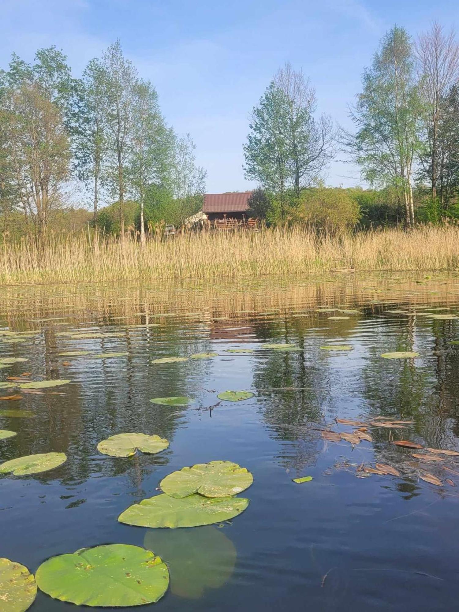 Drewniany Domek Zurawi Trakt Zabrsko Dolne Exterior foto